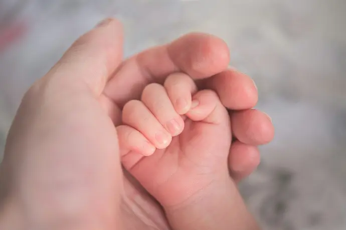 person holding baby's hand in close up photography